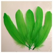 20 шт. Зеленый цвет. Перья петуха 15-20 см