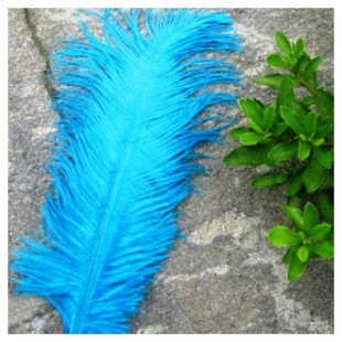 1 шт. Голубой цвет. перо страуса 30-35 см