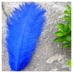  1 шт. Синий цвет. Перо страуса 30-35 см