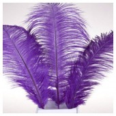 1 шт. Фиолетовый цвет. Перо страуса 35-40 см