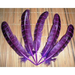 20 шт. Фиолетовый цвет. Перья фазана 13-15 см