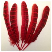 20 шт. Красный цвет. Перья фазана 13-15 см