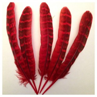 20 шт. Красный цвет. Перья фазана 13-15 см
