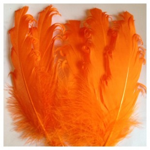 20 шт. Оранжевый цвет. Гусиное перо 12-16 см. Кудри