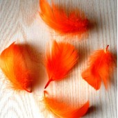 20 шт. Оранжевый цвет.  Гусиное перо 4-6 см. Плавающее