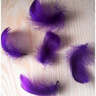 20 шт. Фиолетовый цвет.  Гусиное перо 4-6 см. Плавающее