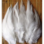 20 шт. Белый цвет. Перья петуха 5-10 см. Цветные перья