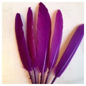 20 шт. Фиолетовый цвет.  Перо петуха 8-14 см