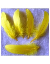 20 шт. Желтый цвет. Перо Петуха 15-20 см