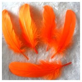 20 шт. Оранжевый цвет. Перо Петуха 10-15 см
