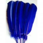 1 шт. Синий цвет. Гусиное перо 25-30 см