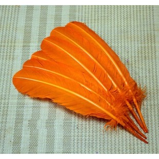 1 шт. Оранжевый цвет. Гусиное перо 25-30 см
