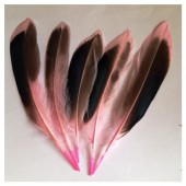 10 шт. Розовый цвет. Перья цветной утки 10-15 см.