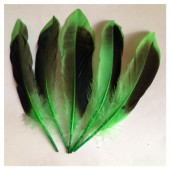 10 шт.  Зеленый цвет. Перья цветной утки 10-15 см.