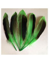 10 шт.  Зеленый цвет. Перья цветной утки 10-15 см.