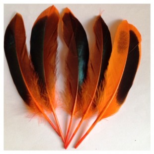 10 шт. Оранжевый цвет. Перья цветной утки 10-15 см.