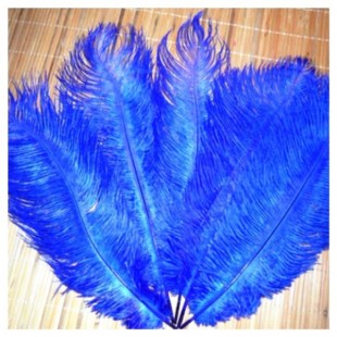 1 шт. Синий цвет. Перо страуса 35-40 см