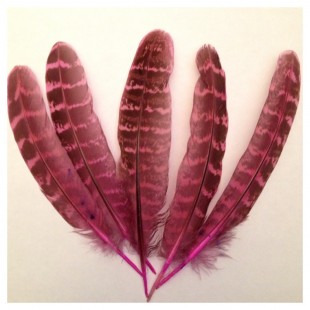10 шт. Розовый цвет. Перья фазана 13-15 см