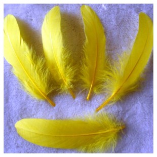 20 шт. Желтый цвет. Перо Петуха 15-20 см
